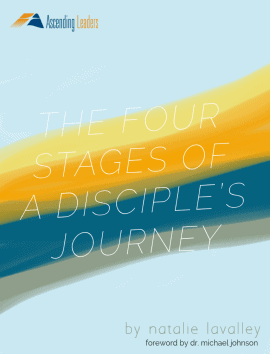 Church-Wide Discipleship Assessment - Ascending Leaders